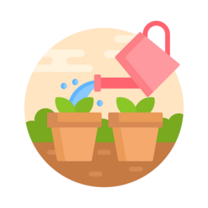 Home and Garden