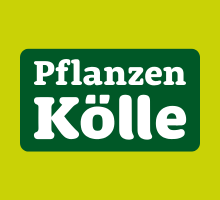 Pflanzen Kölle DE